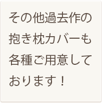 その他過去作の抱き枕カバーも各種ご用意しております！