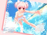 2007年8月|恋鳥